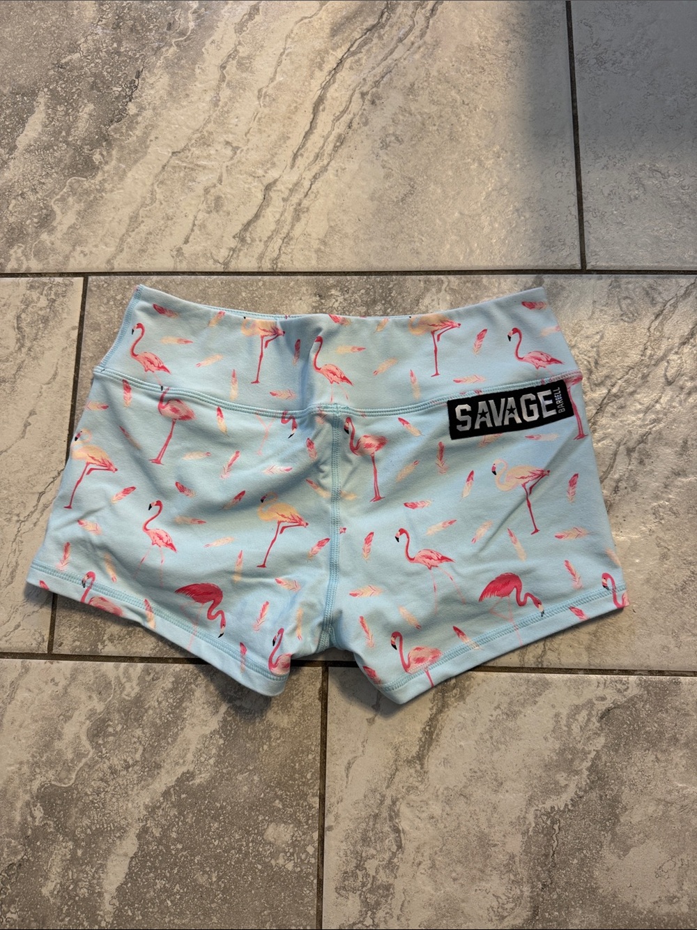 Savage Barbell Light Blue Flamingo Print Kids Swim Trunks